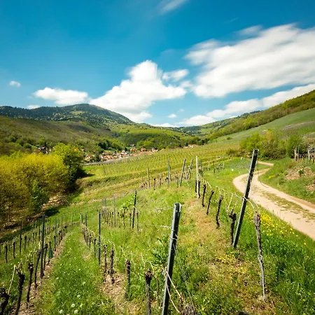 Gres - Domaine Leon Bleesz *