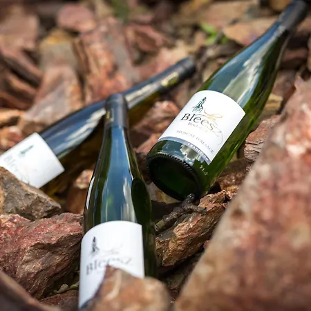 Gres - Domaine Leon Bleesz