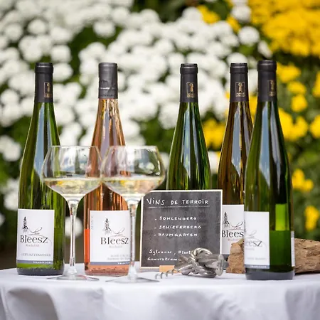 Feriehus Gres - Domaine Leon Bleesz