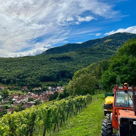 Feriehus Gres - Domaine Leon Bleesz *