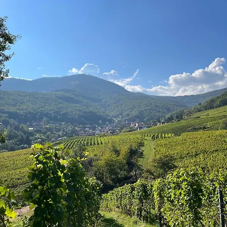 Gres - Domaine Leon Bleesz * Reichsfeld