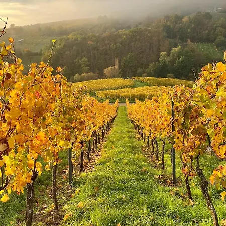 Gres - Domaine Leon Bleesz *